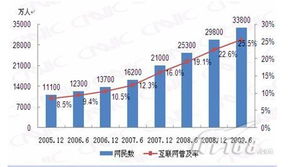 2009年中國旅游電子商務發(fā)展報告 電子商務技術(shù)開發(fā)