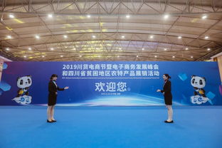 2019川貨電商節(jié)暨電子商務發(fā)展峰會 以技術(shù)開發(fā)為引擎，推動川貨走向世界